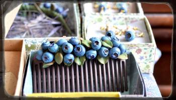Comb with blueberries