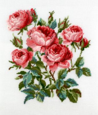 Roses. Khrapkova Svetlana