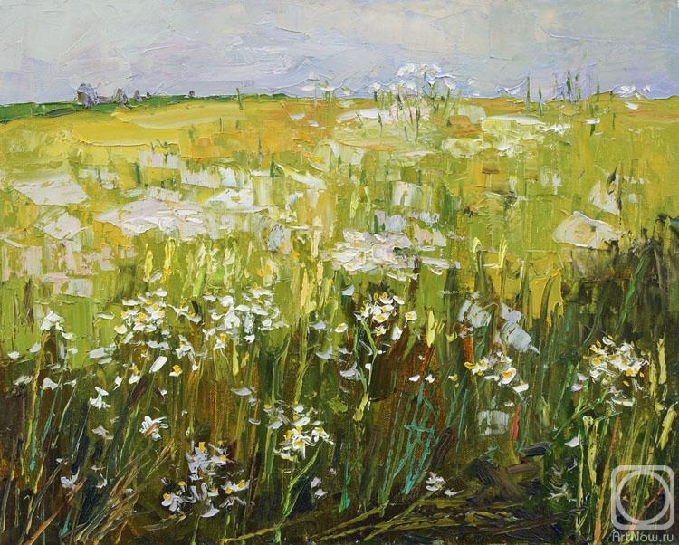 Vilkova Elena. Field daisies