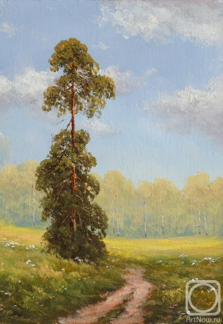 Lyamin Nikolay. Summer, pine