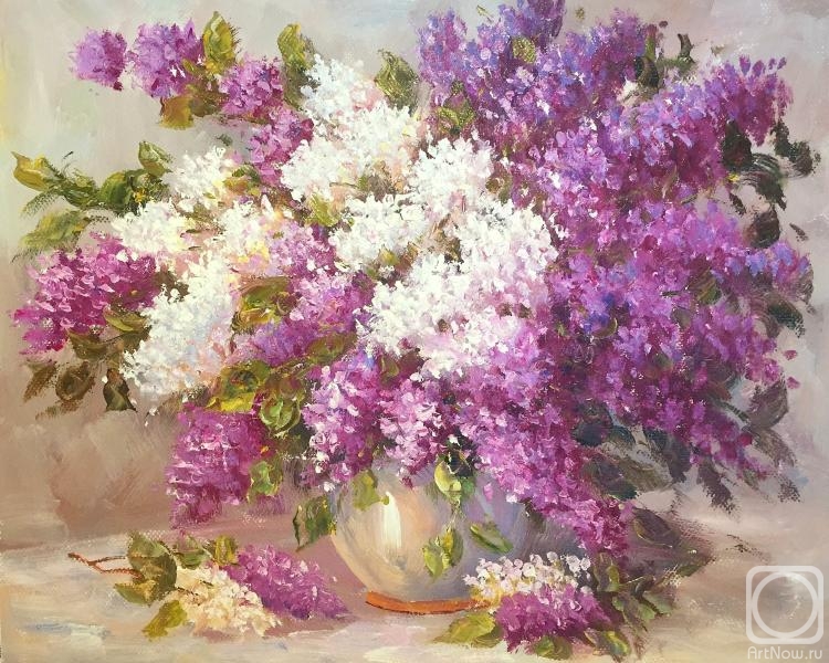 Dzhanilyatti Antonio. Lilac
