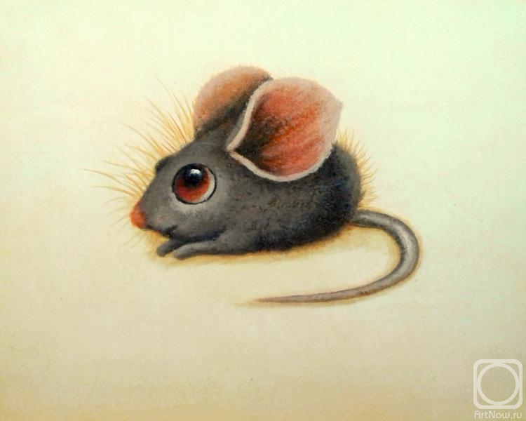 Bruno Tina. Baby mouse