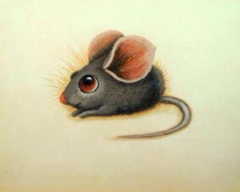 Baby mouse. Bruno Tina