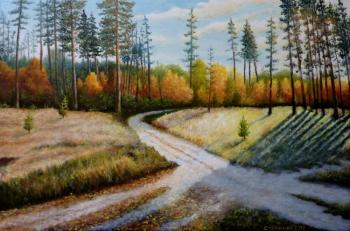 Crossroads of forest roads. Stroynov Vitaly