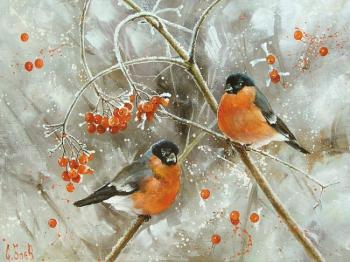 Bullfinches (). Boev Sergey