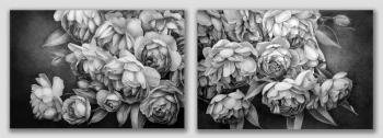 Diptych with peony roses