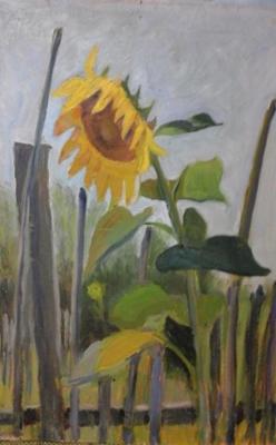 Sunflower. Chernov Vladimir