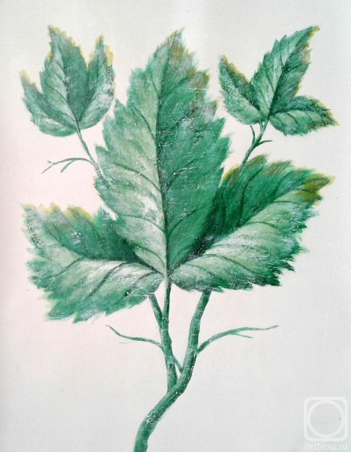 Bruno Tina. Green leaf