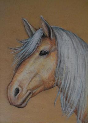 Portrait of a horse. Orlov Andrey