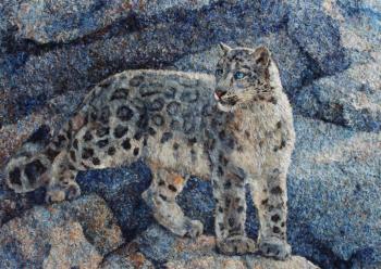 snow leopard among the rocks