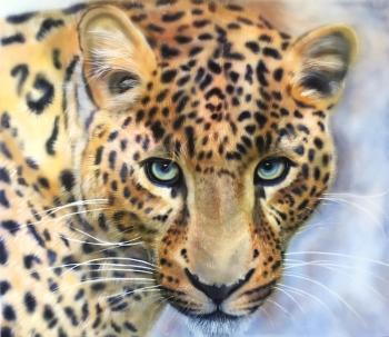 Leopard. Elgazina Olga