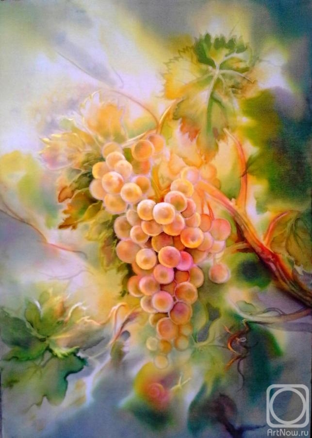 Godich Marina. White-pink grapes