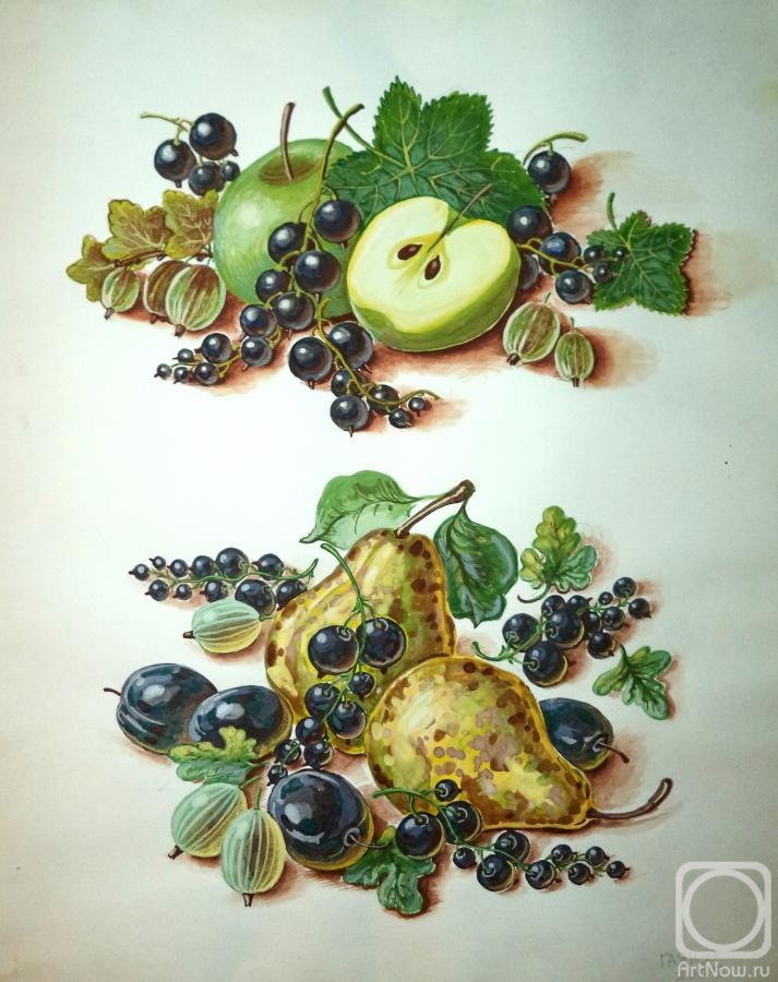 Dobrovolskaya Gayane. Black currant, gooseberry, apples, pears and plums