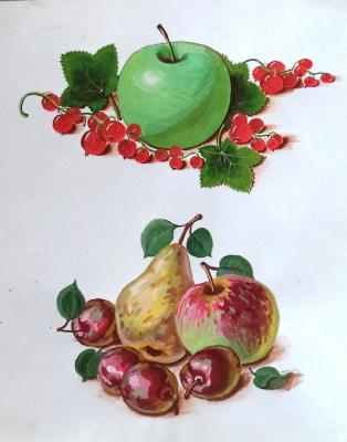 Apples & Red Currant, Pear & Plums. Dobrovolskaya Gayane