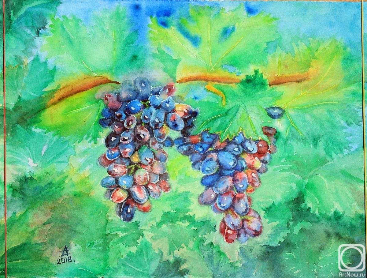Dyachenko Alyena. Bunches of grapes