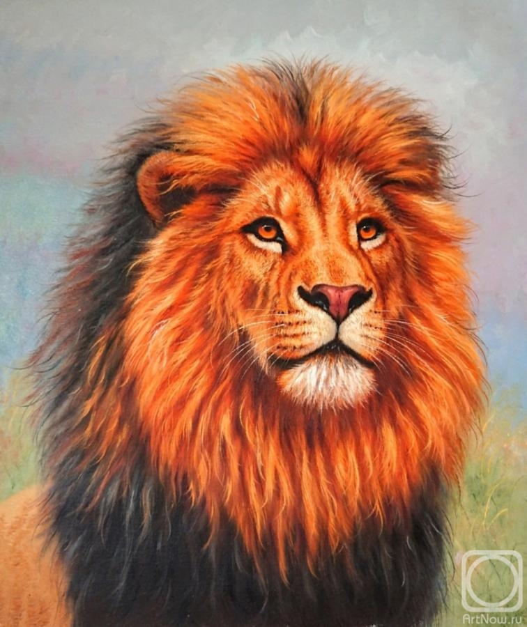 Bruno Augusto. Lion