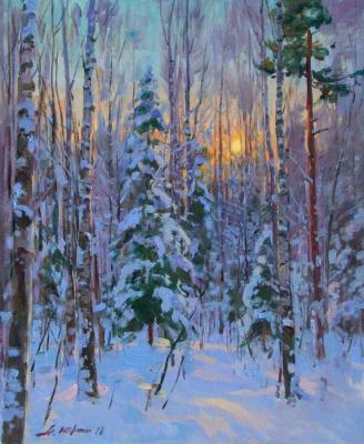 Evening in the winter forest. Yurgin Alexander