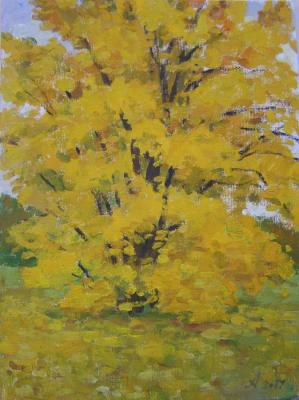 Autumn maple (). Homyakov Aleksey