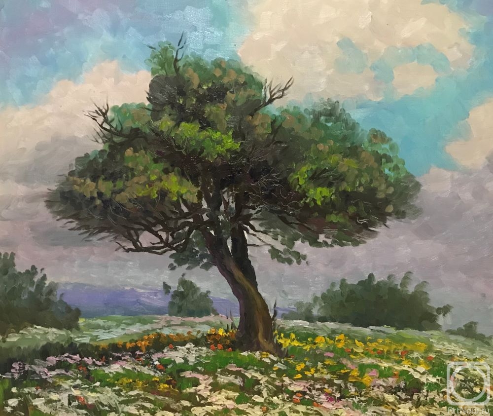Stepanov Pavel. Olive tree.Cyprus.It's spring