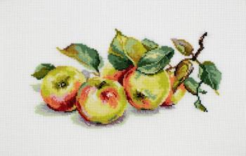 Apples. Khrapkova Svetlana