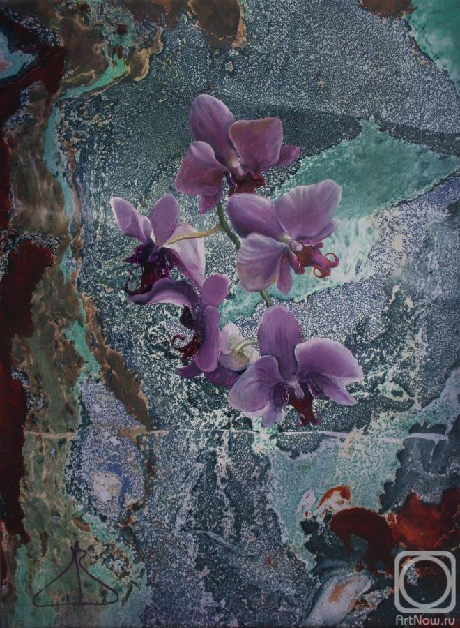 Dolinsky Vadim. Pink Orchid