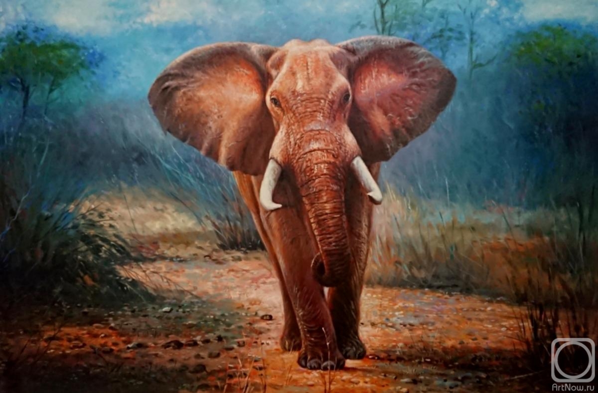 Bruno Augusto. Elephant