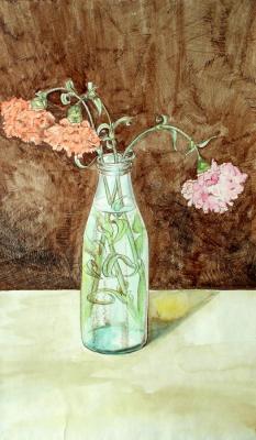 Carnations. Abaimov Vladimir