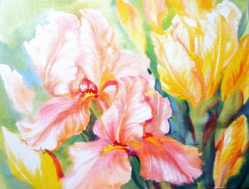 Irises are the color of the sun. Mikhalskaya Katya