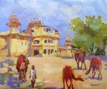 India. Jaipur. Camel Parking lot "Hey, let's ride!"