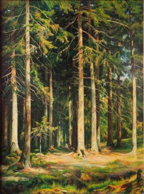 Spruce forest. Vasiliev Anton