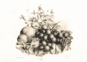 Bloemen, perzik, nectarine, druiven en bramen