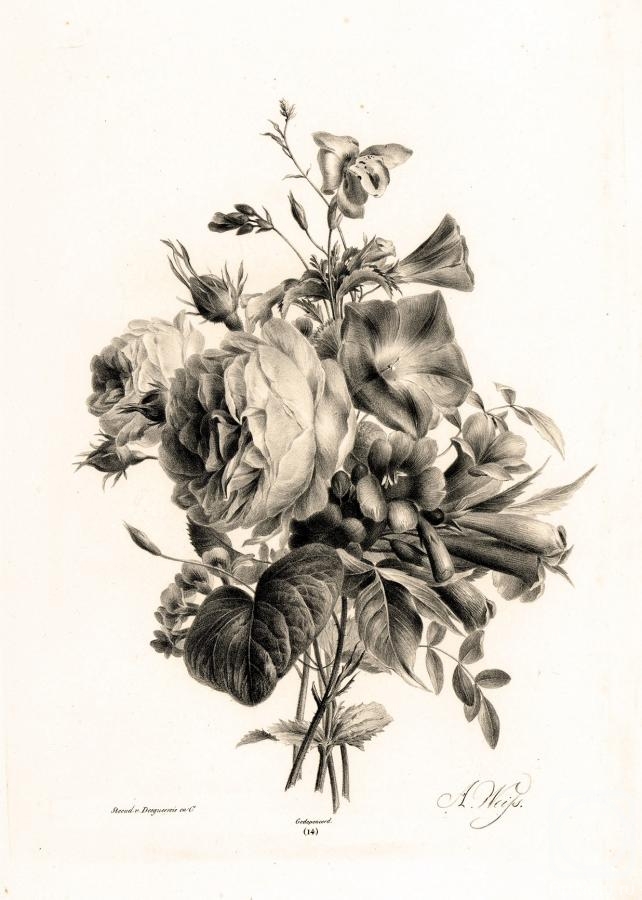 Kolotikhin Mikhail. Roses and bells