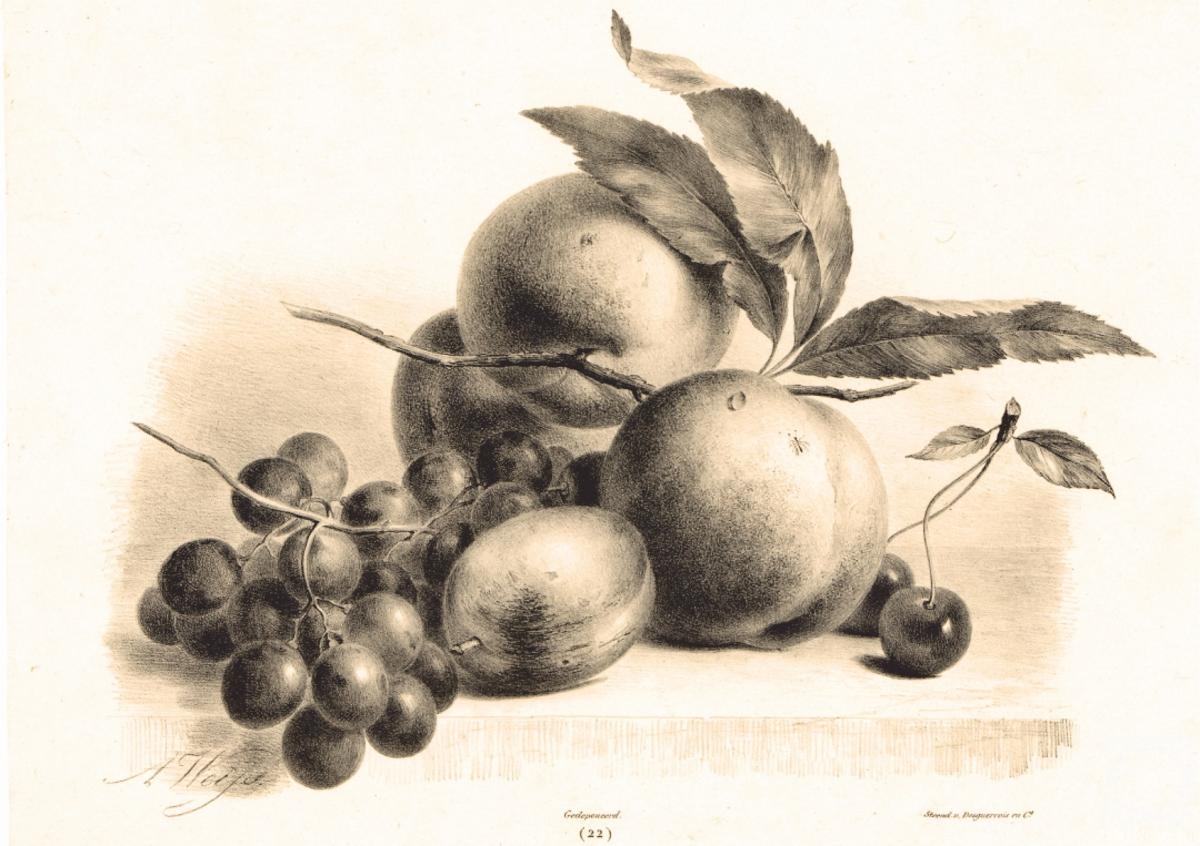 Kolotikhin Mikhail. Grapes, plum, peaches and cherry