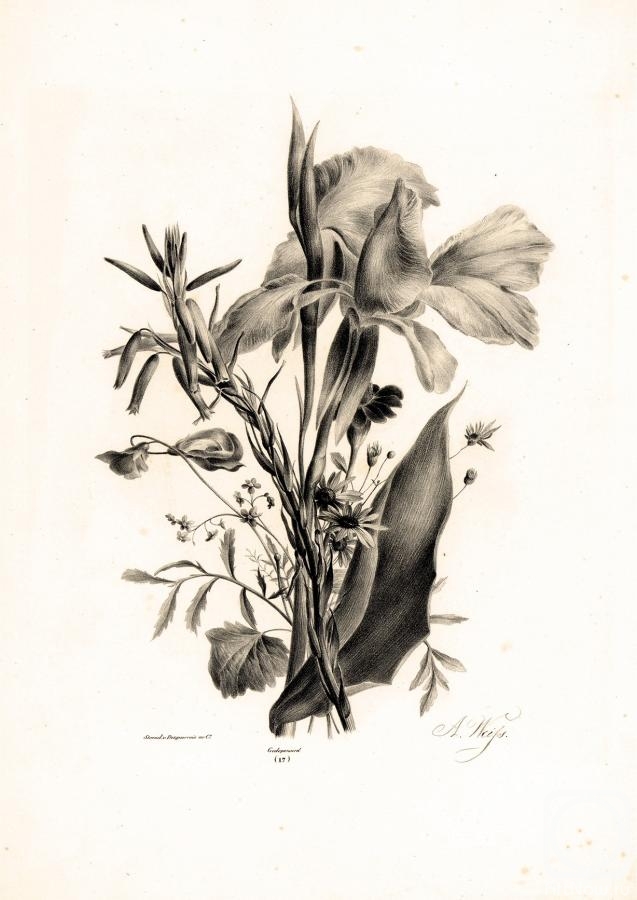 Kolotikhin Mikhail. Diverse bloemen