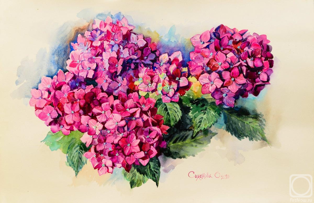 Simonova Olga. Red Hydrangea Painting, Original Watercolor, Study from Nature, Gift to Woman, Decor for Interior,Mothers Day gift,Botanical Wall Art