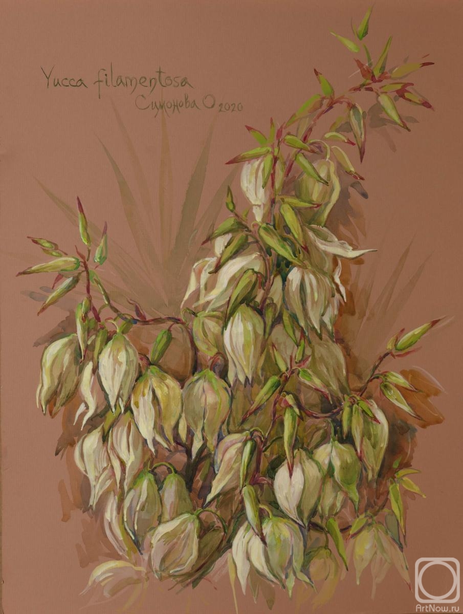 Simonova Olga. Blooming Yucca