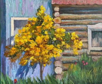 Blooming yellow Bush. Chernyy Alexandr