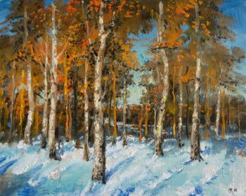 Winter, birches