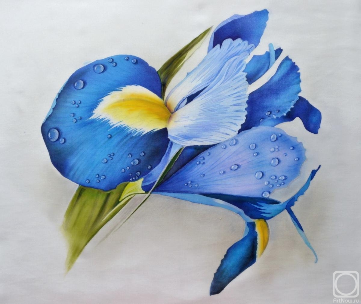 Kopylova Nadezhda. Blue iris