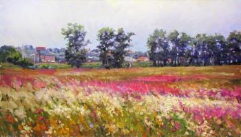 Flowering meadow in Bogolyubovo