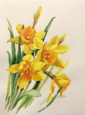 Daffodils. Lukaneva Larissa