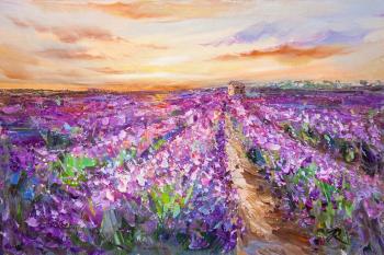 Lavender fields at sunset N3. Rodries Jose