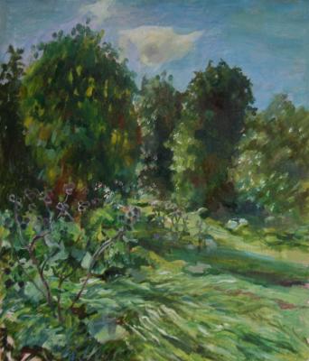 Солнце в зените. Синева Светлана