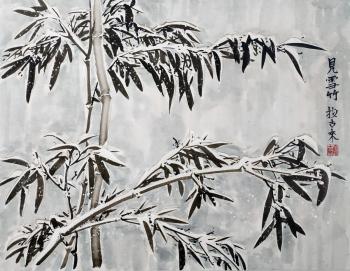 Admiring the snow-covered bamboo (). Mishukov Nikolay