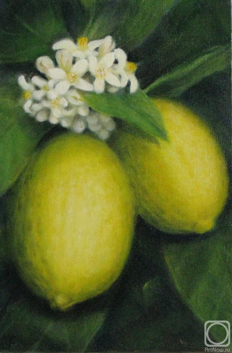 Fomina Lyudmila. Lemons on a branch
