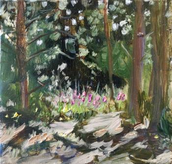 Glade by the forest