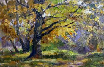 Autumn, oaks (etude)
