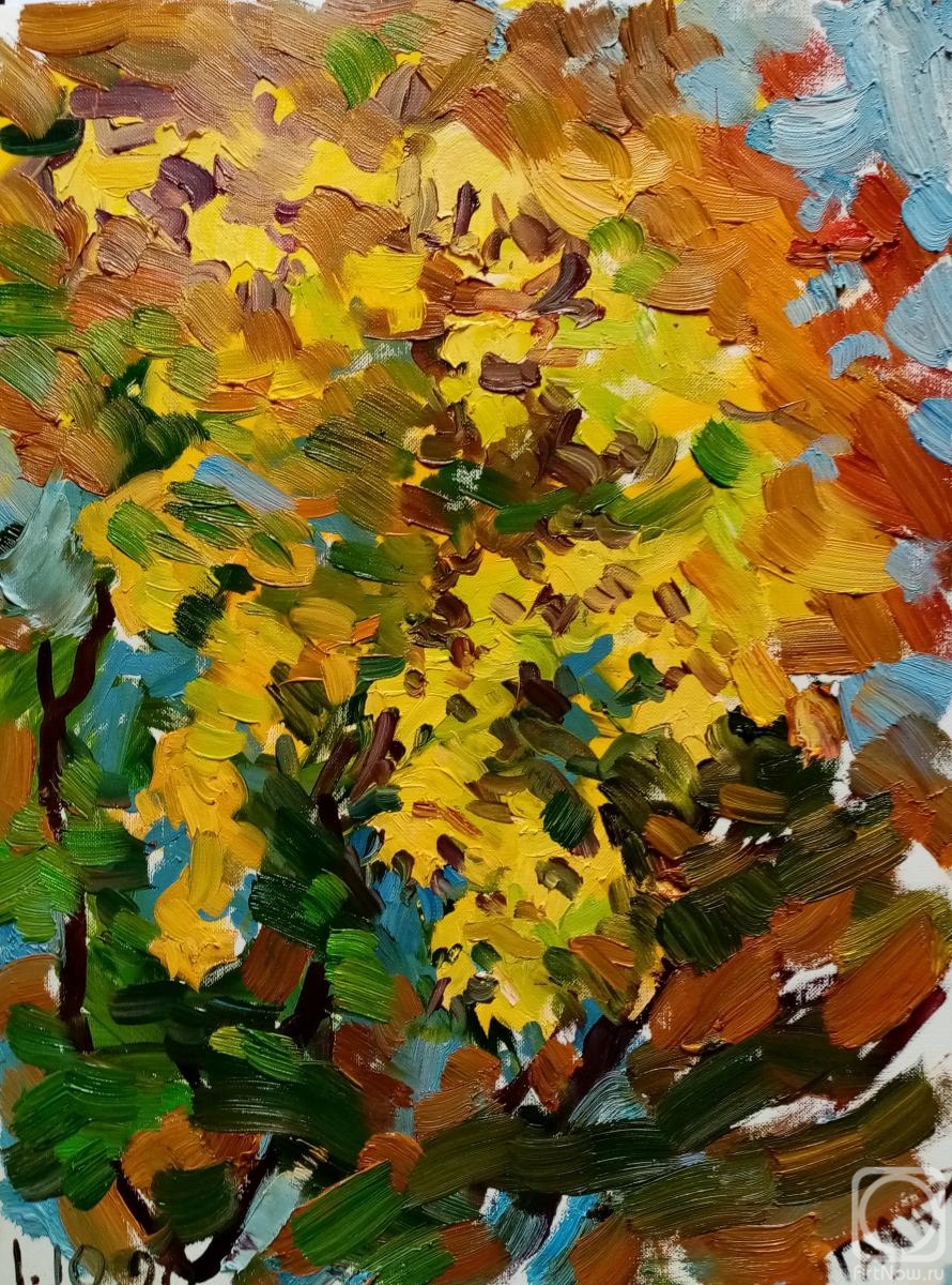 Dobrovolskaya Gayane. Sun in maple leaves