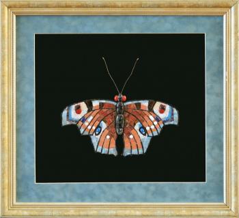 Butterfly "Peacock eye". Maslennikov Sergey