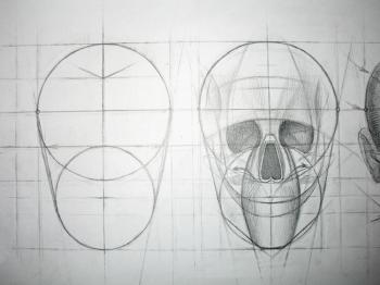 Skull Scheme